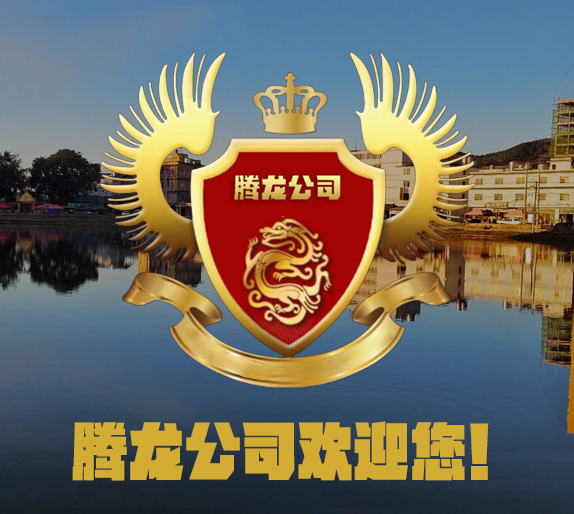 豪华酒店套房展示